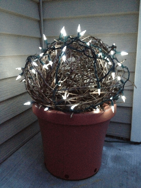 Grapevine ball with lights