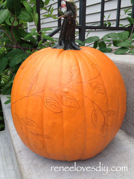Pumpkin with Vine Drawing