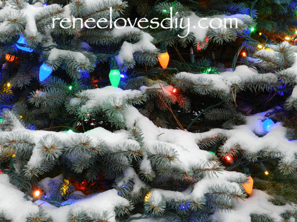 Christmas Tree Lights in Snow!
