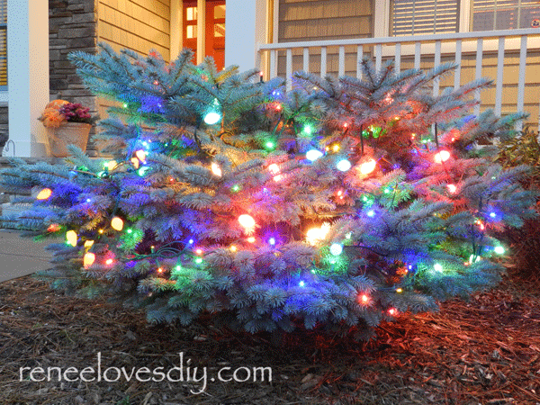 Mixed Christmas lights makes for a beautiful tree!